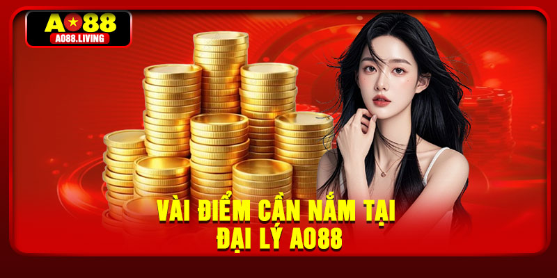 Vài điểm cần nắm tại đại lý AO88